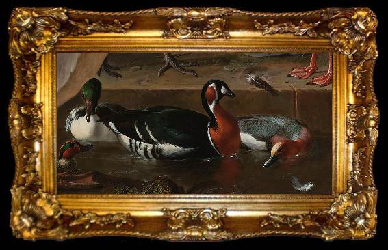 framed  HONDECOETER, Melchior d A Pelican and Other Birds Near a Pool, known as 